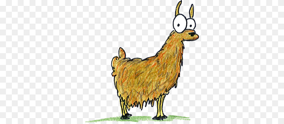 Llama Cartoon Llama, Animal, Livestock, Mammal, Sheep Free Png Download