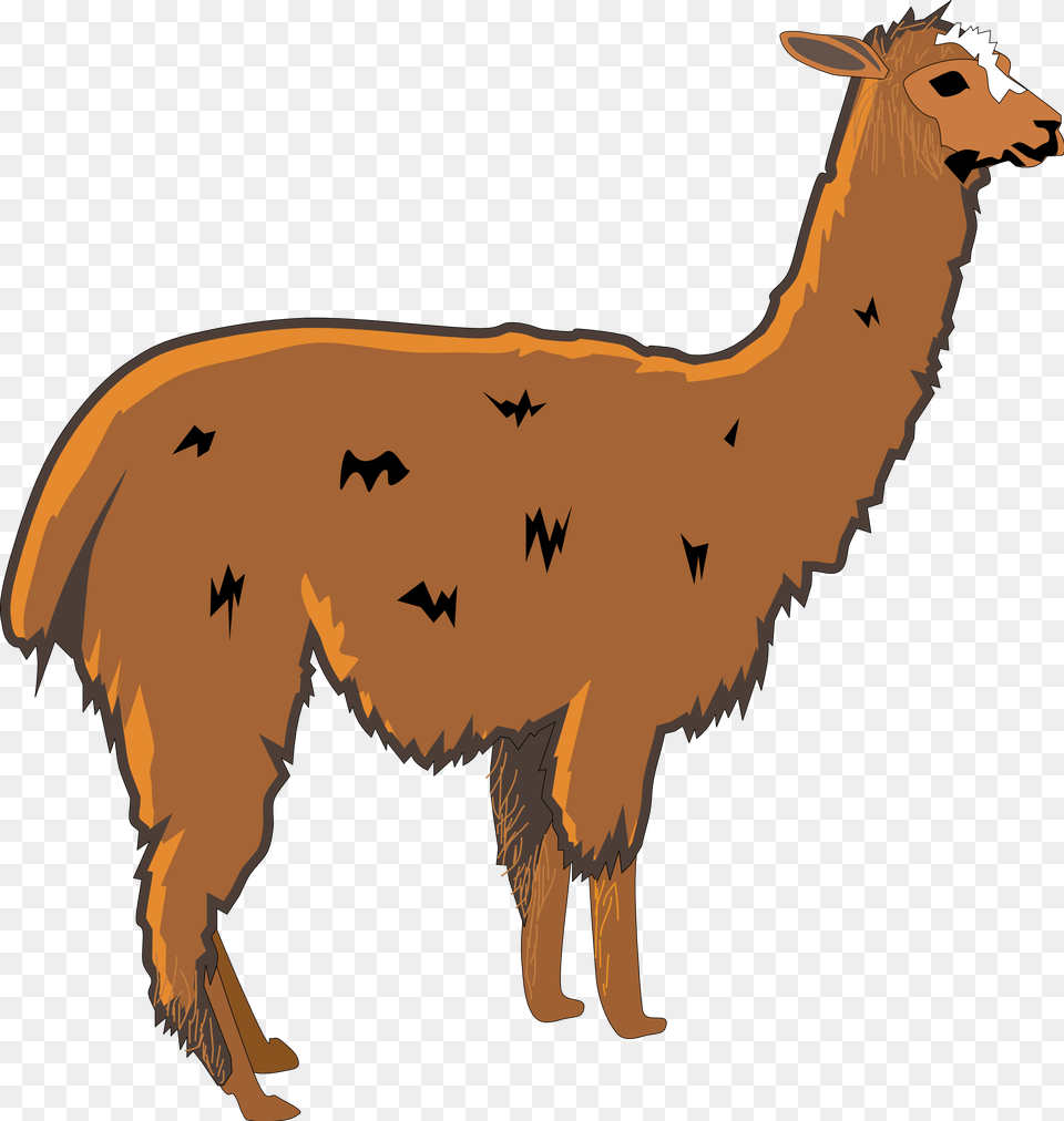Llama Clip Art Royalty Animal, Mammal, Kangaroo Free Png Download