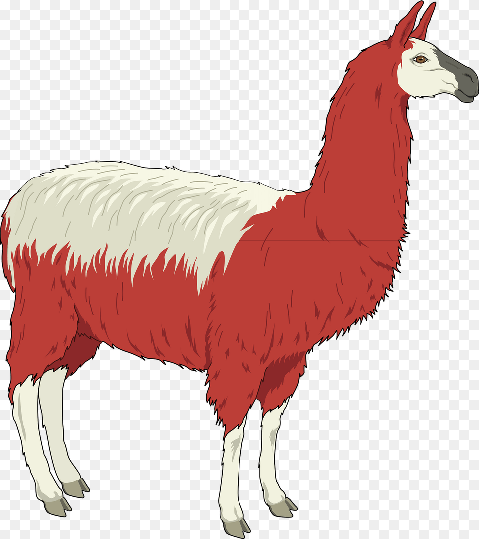 Llama Clipart, Animal, Mammal, Antelope, Wildlife Png Image
