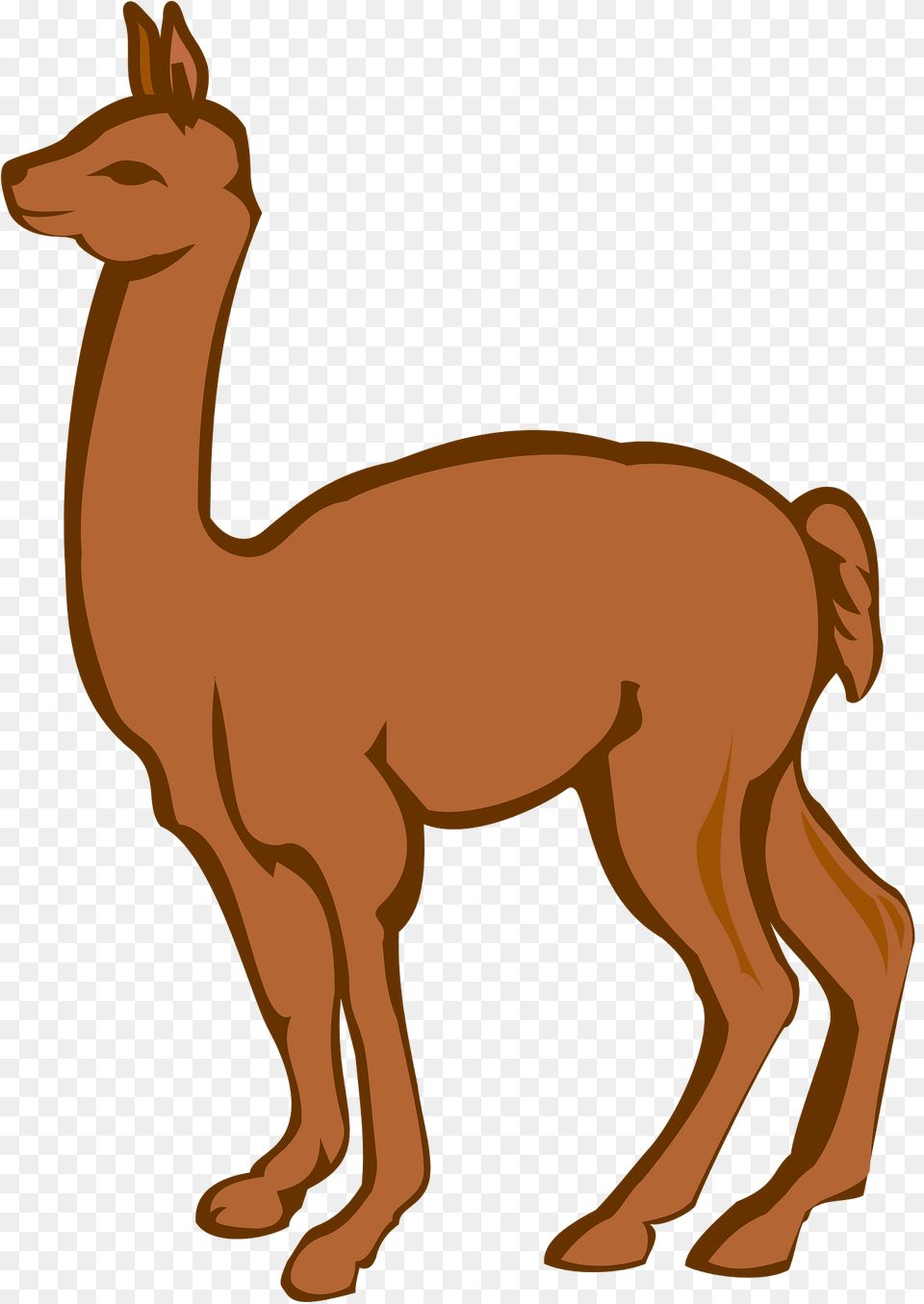 Llama Clipart, Animal, Mammal, Kangaroo Png