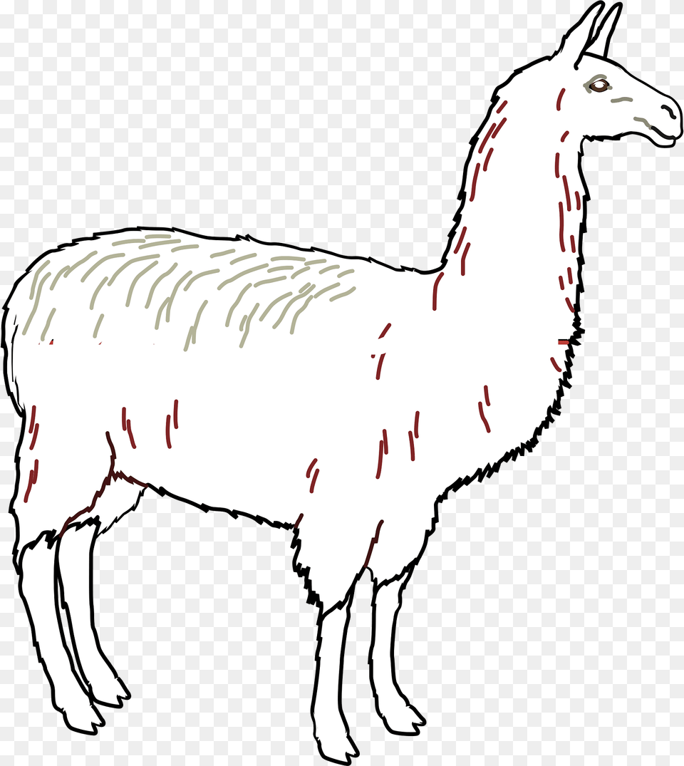 Llama Clipart, Animal, Mammal, Kangaroo Free Png