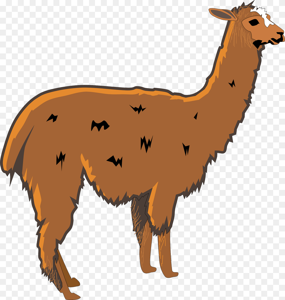 Llama Clipart, Animal, Mammal, Kangaroo Free Transparent Png