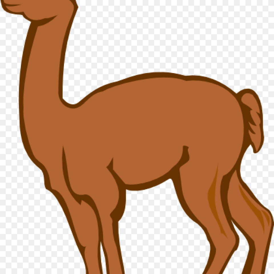 Llama Clipart Llama Clip Art, Animal, Mammal, Person Png Image