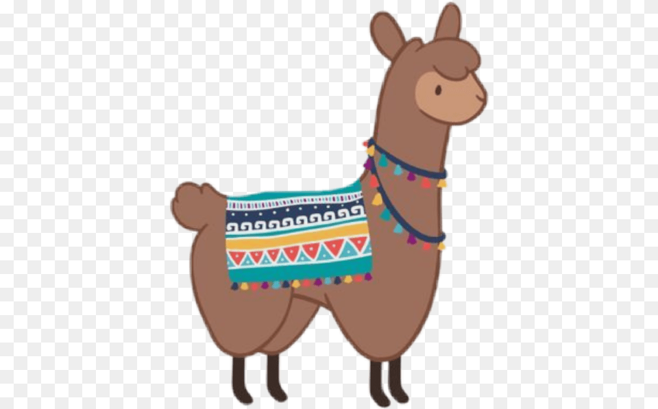 Llama Cute Brown Stiker, Animal, Mammal, Baby, Person Png