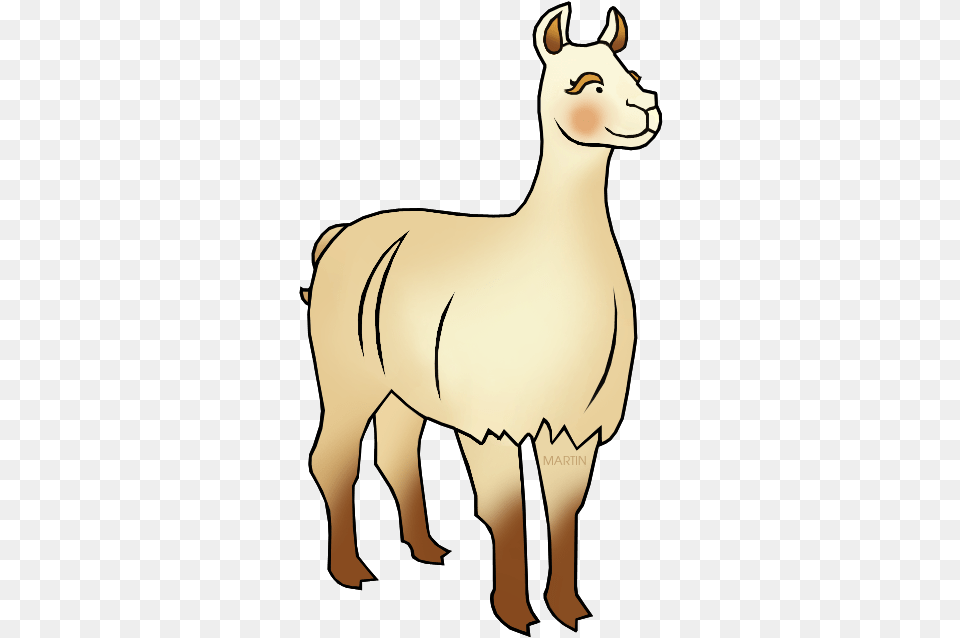 Llama El Inca Con Una Llama, Animal, Mammal, Adult, Female Png Image