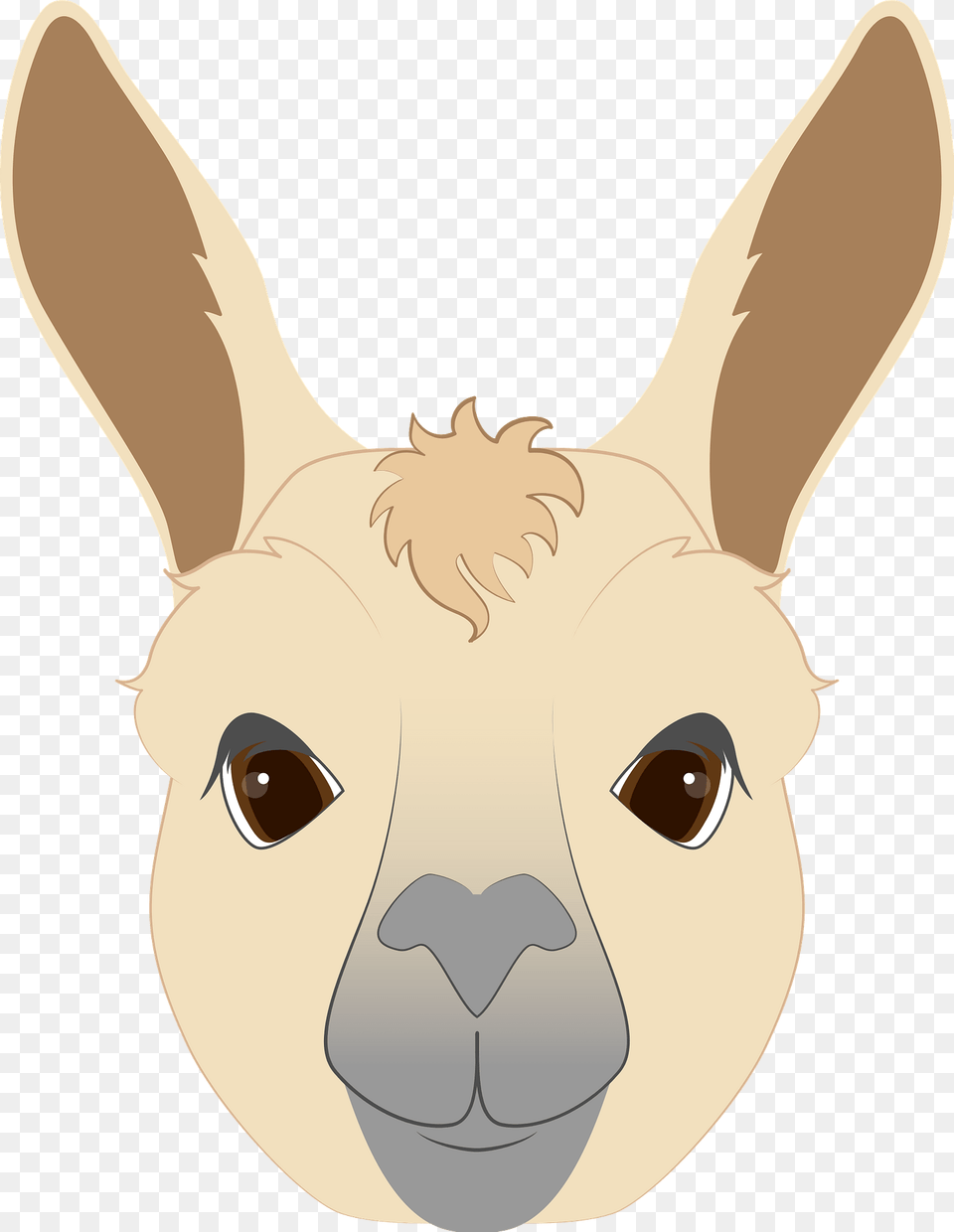 Llama Face Clipart, Animal, Mammal, Fish, Sea Life Png