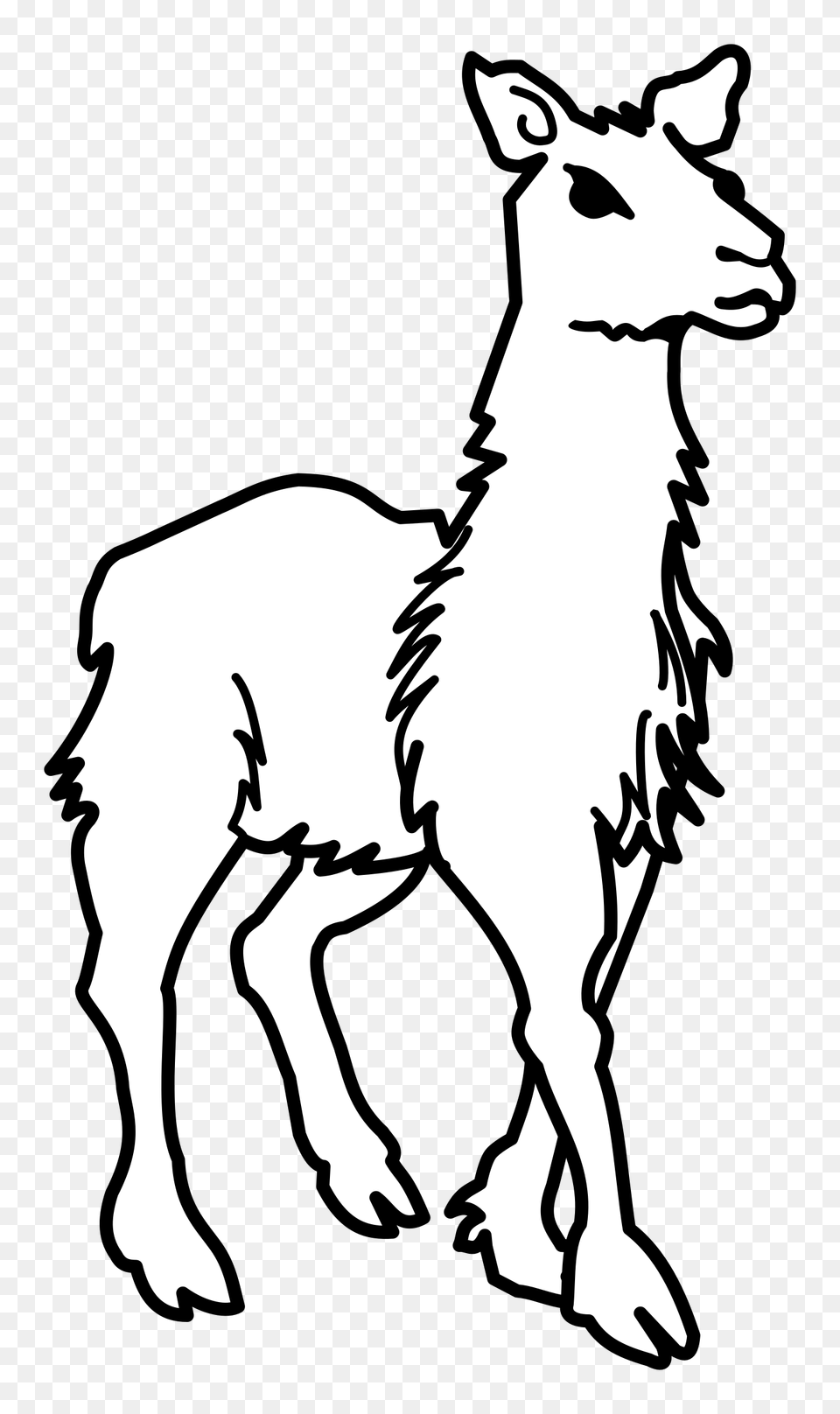 Llama Lineart Icons, Stencil, Silhouette, Person, Face Png