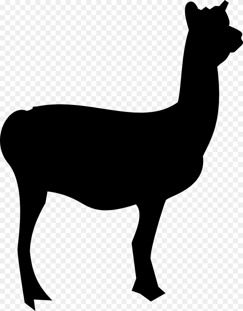 Llama Mammal Animal Silhouette Llama Outline, Gray Free Png