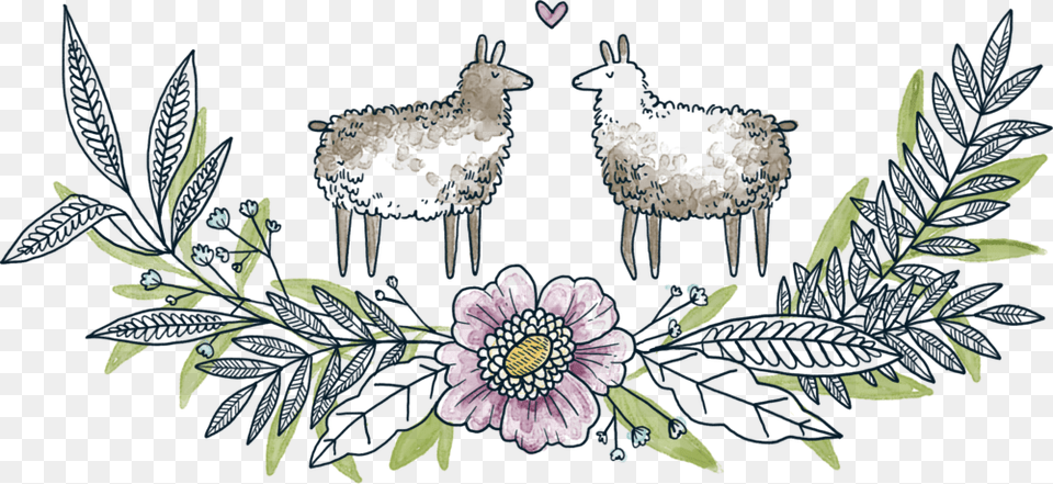Llama Pasture African Daisy, Art, Floral Design, Graphics, Pattern Png
