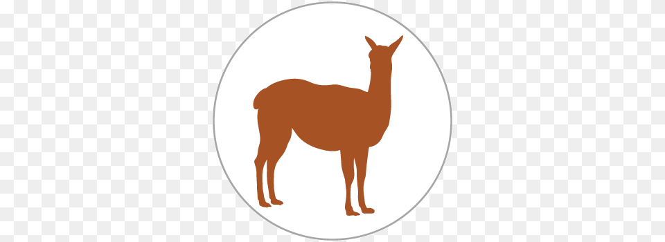 Llama Schedule, Animal, Mammal, Horse Png Image