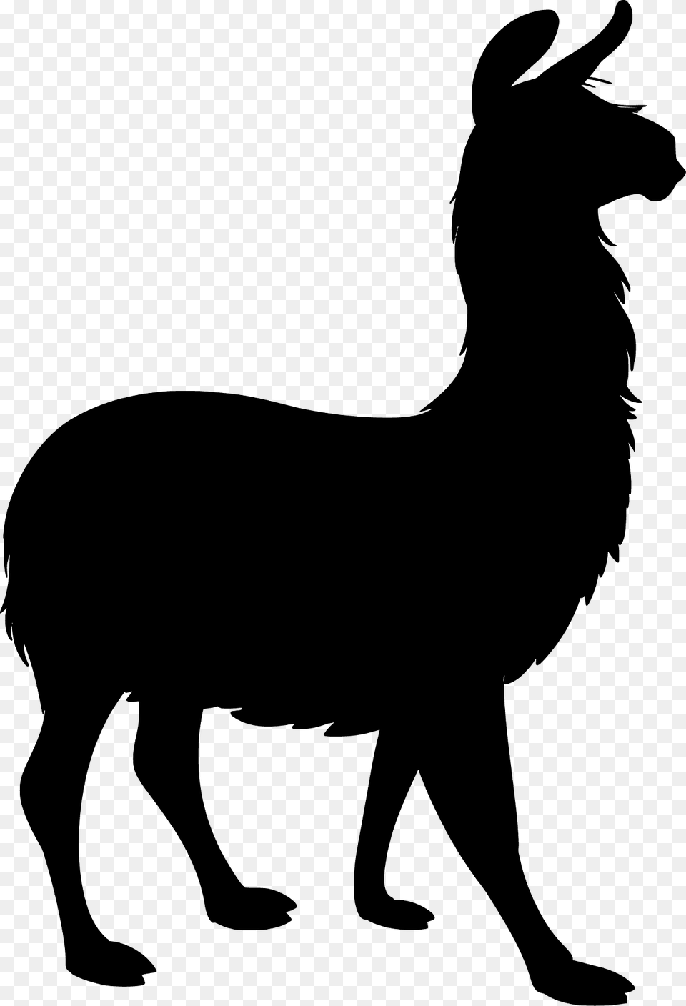 Llama Silhouette, Animal, Bear, Mammal, Wildlife Free Transparent Png