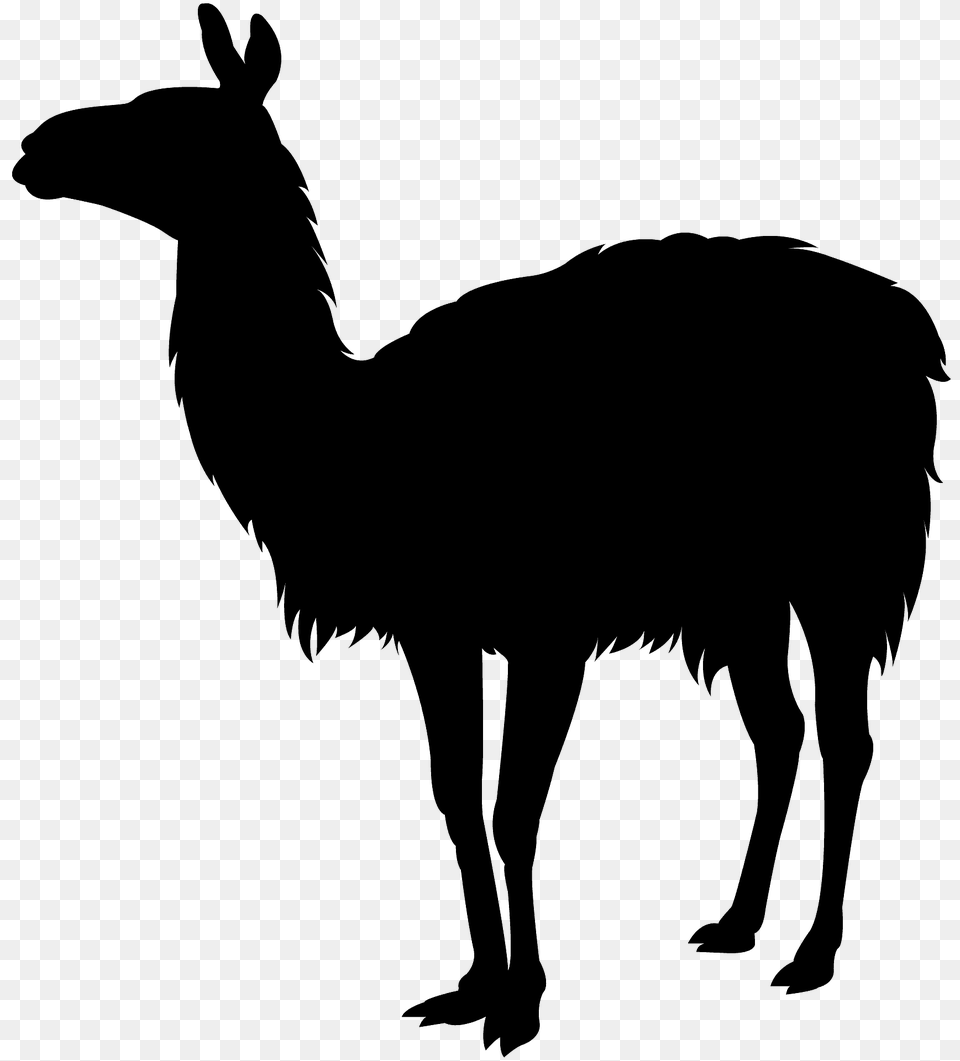 Llama Silhouette, Animal, Mammal, Antelope, Wildlife Free Png Download