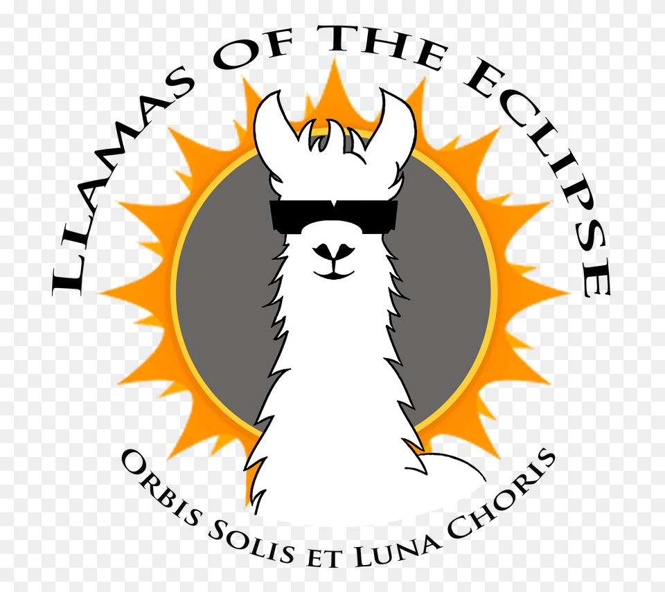 Llamas Of The Eclipse Dedicated To The Optical Health Of Llamas, Animal, Mammal, Person, Llama Png Image