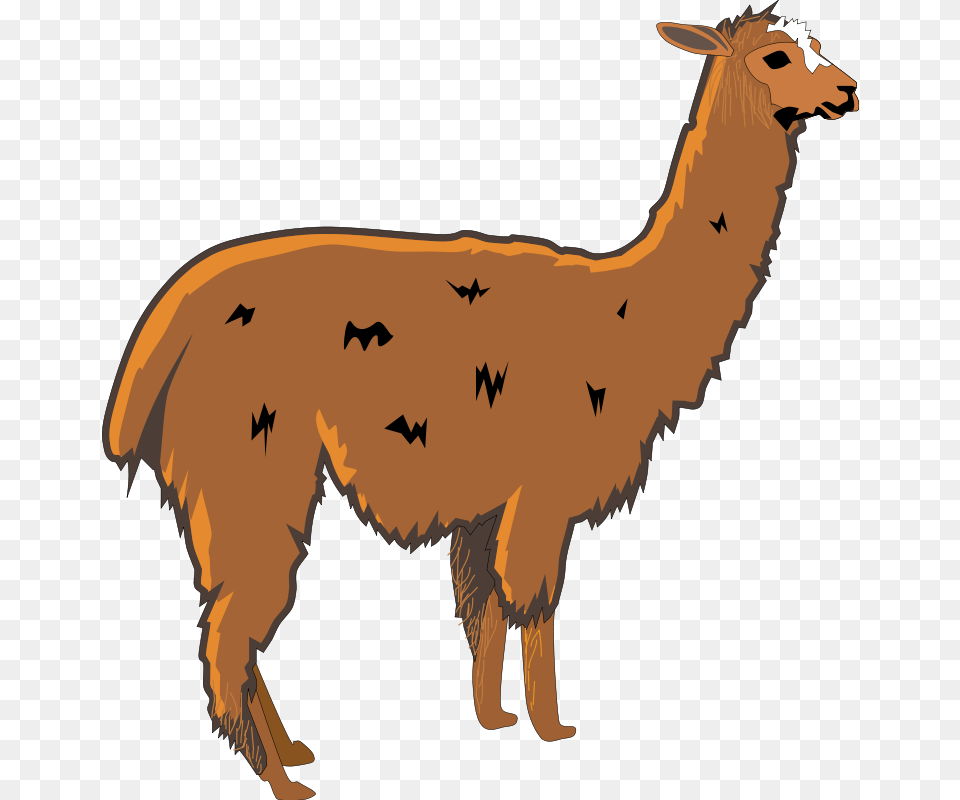 Llamas Vector Image, Animal, Llama, Mammal Png