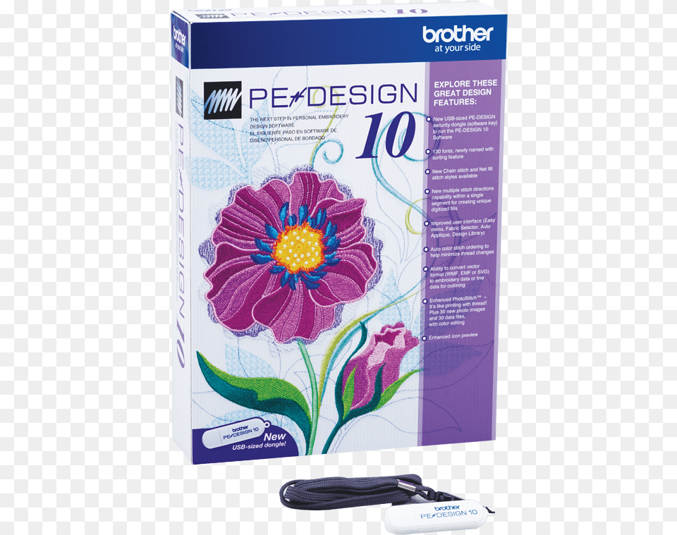 Llave De Software Pe Design, Daisy, Flower, Plant, Advertisement Png Image