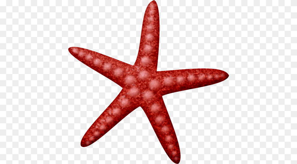 Lliella Clip Art, Animal, Sea Life, Invertebrate, Starfish Free Png