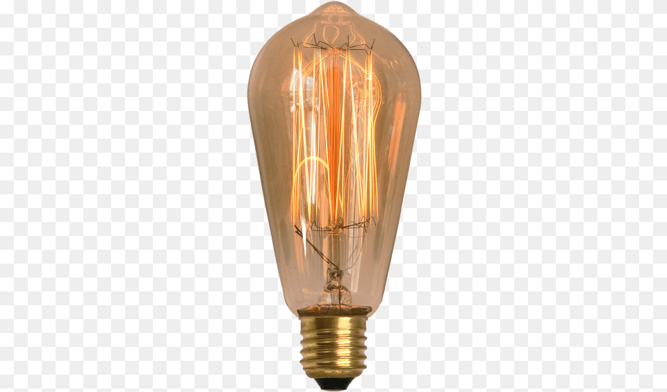 Lmpada De Filamento De Carbono St58 Squirrel Cage Lampada Filamento Carbono, Light, Lightbulb, Chandelier, Lamp Free Png Download