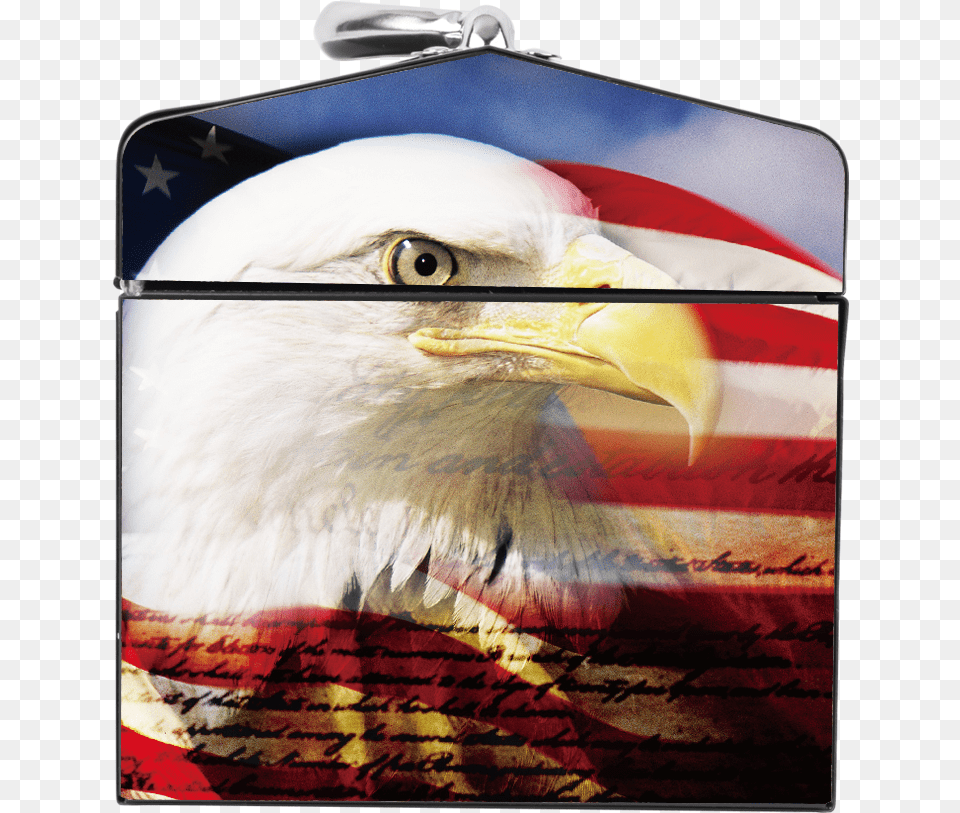 Load Image Into Gallery Viewer American Flag Eagle Bald Eagle With American Flag, Animal, Bird, Beak, Bald Eagle Free Png