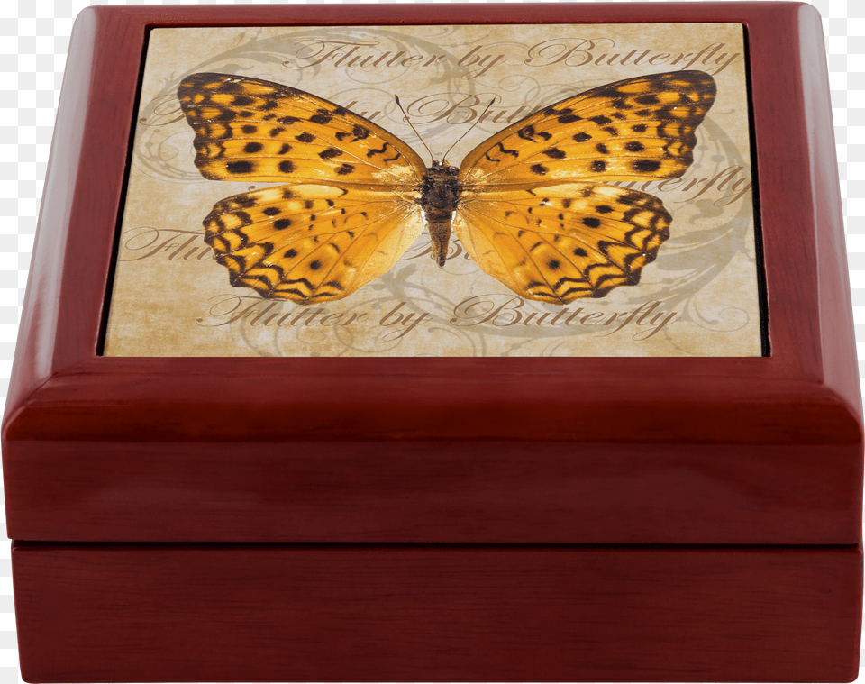 Load Into Gallery Viewer Butterflybutterflies, Animal, Box, Insect, Invertebrate Png Image
