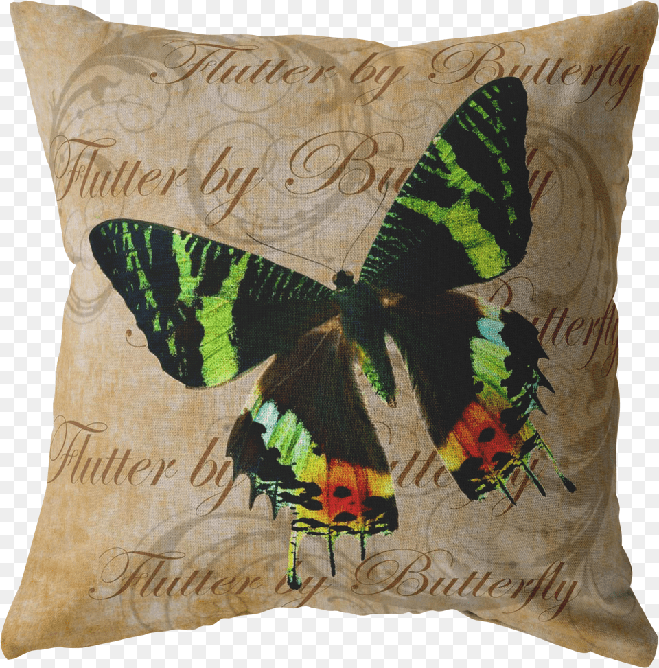 Load Image Into Gallery Viewer Green And Orange Butterfly Cushion Free Transparent Png