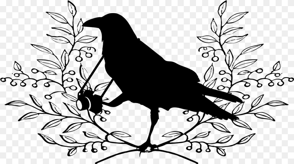 Load Image Into Gallery Viewer Natureamp Crow, Gray Free Png