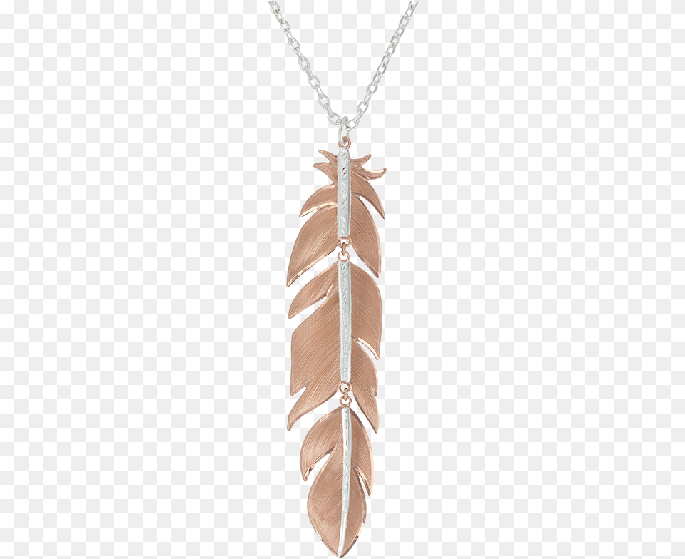Loading Detail Montana Silversmiths Necklace Womens Sunlit Phoenix, Accessories, Jewelry, Pendant Free Transparent Png