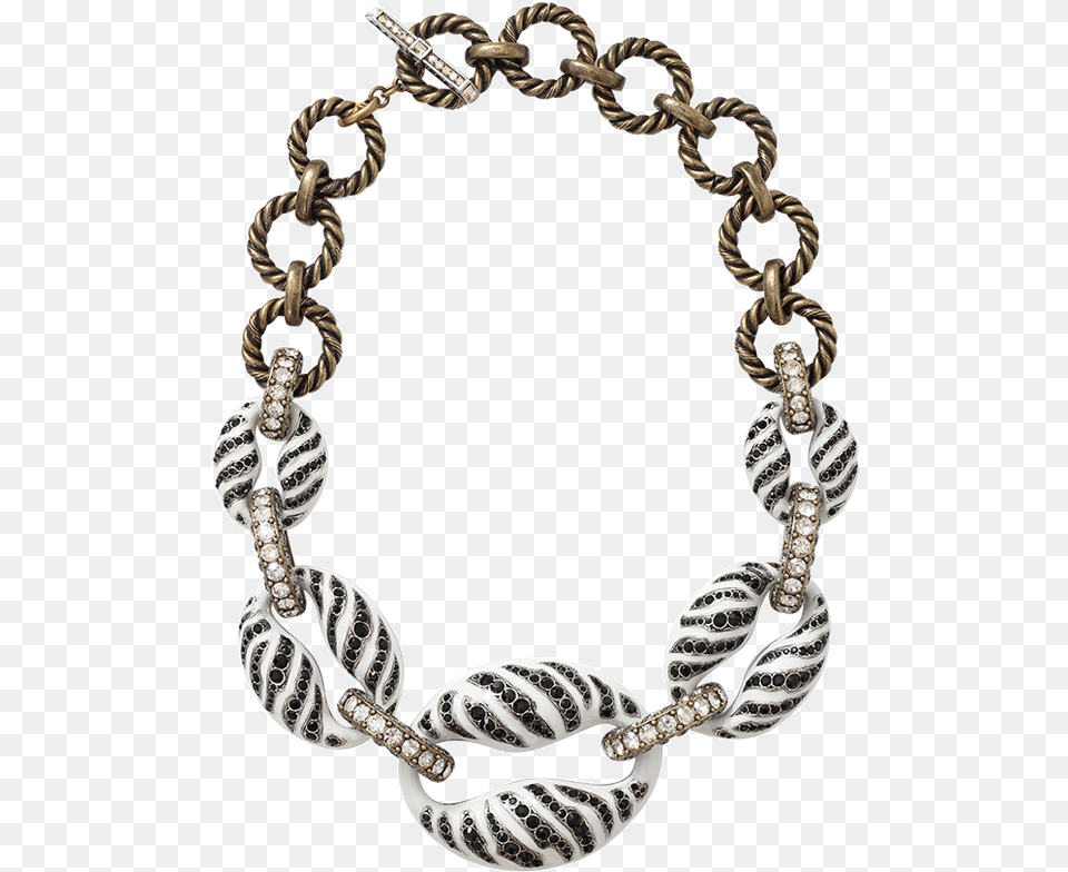 Loading Zoom Lanvin Mina Tiger Chain Necklace, Accessories, Bracelet, Jewelry Free Transparent Png