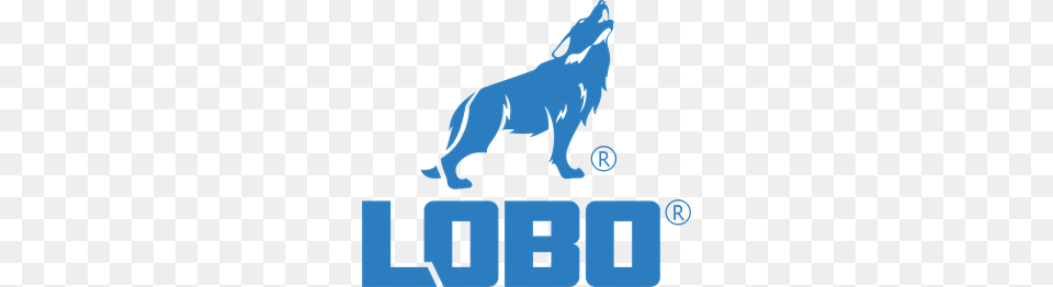 Lobo Paysandu Sport Club Logo Vector, Animal, Canine, Dog, Mammal Png Image