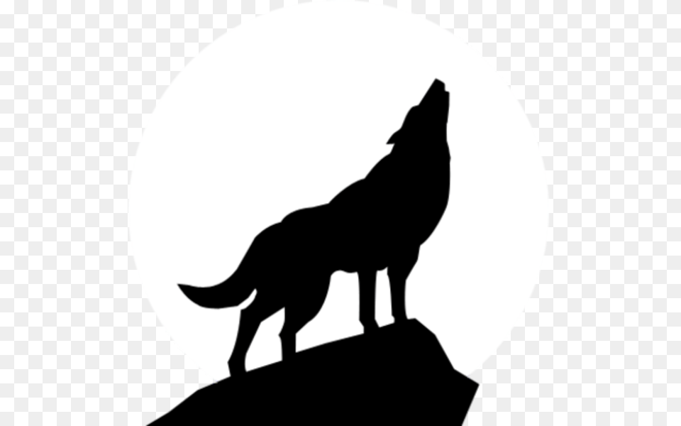 Lobo Vector Wolf Transparent Silhouette Of A Wolf, Animal, Coyote, Mammal, Canine Png Image