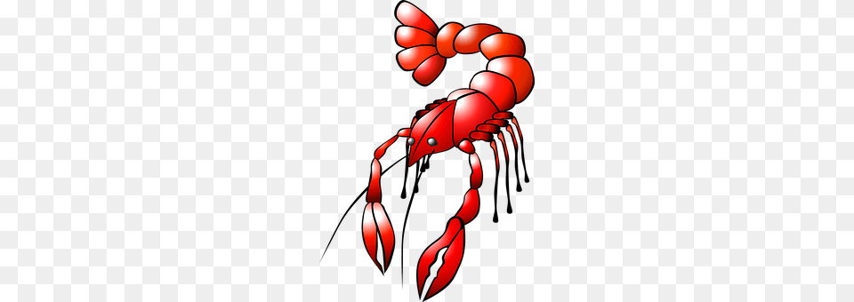 Lobster Food, Seafood, Animal, Sea Life Png