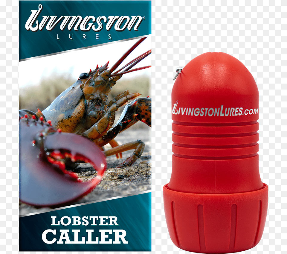 Lobster, Animal, Food, Invertebrate, Sea Life Free Png