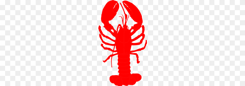 Lobster Animal, Food, Invertebrate, Sea Life Free Png Download