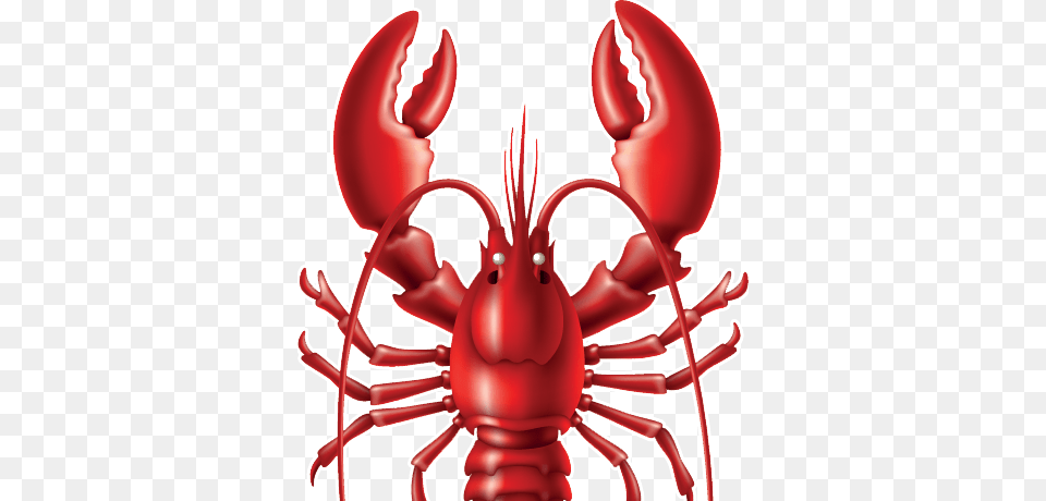 Lobster, Animal, Food, Invertebrate, Sea Life Free Png