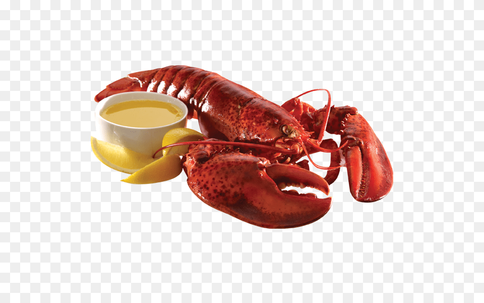 Lobster, Animal, Food, Invertebrate, Sea Life Free Png Download