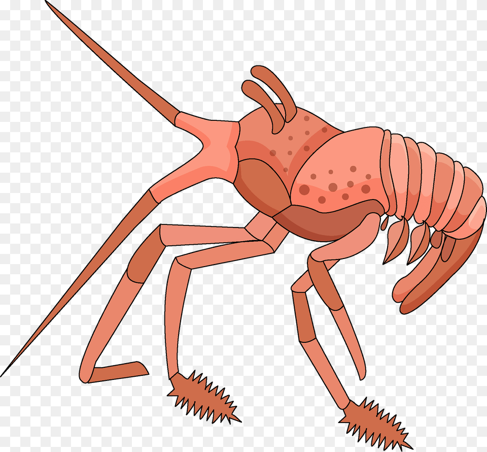 Lobster Clipart, Food, Seafood, Animal, Sea Life Free Transparent Png