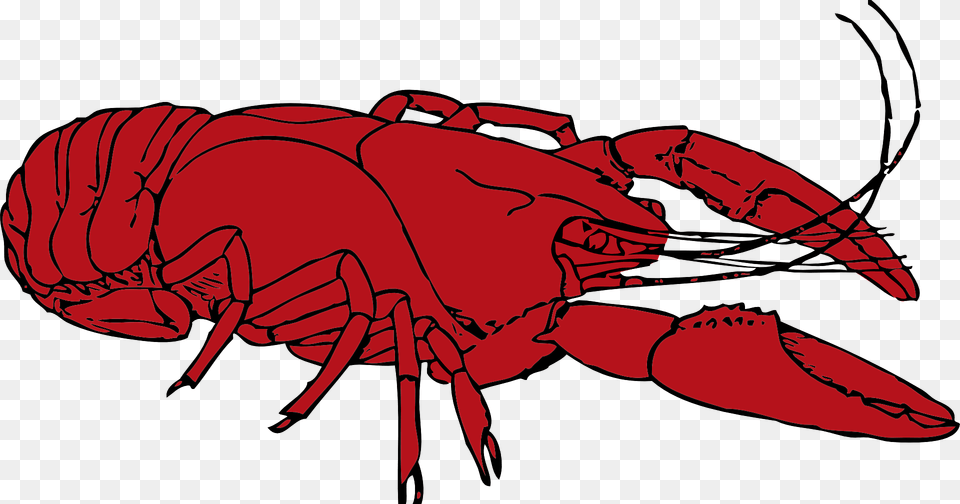 Lobster Clipart, Food, Seafood, Animal, Sea Life Png