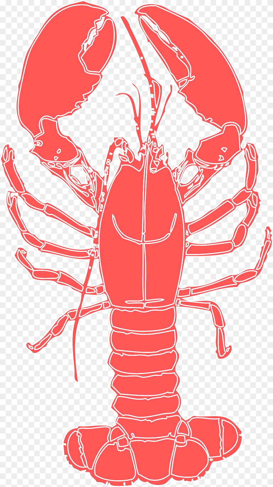 Lobster Clipart, Animal, Food, Invertebrate, Sea Life Png