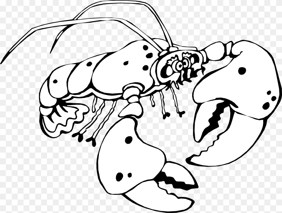 Lobster Clipart Of A Black And White Crayfish Veran Clip Art, Animal, Sea Life, Seafood, Food Png