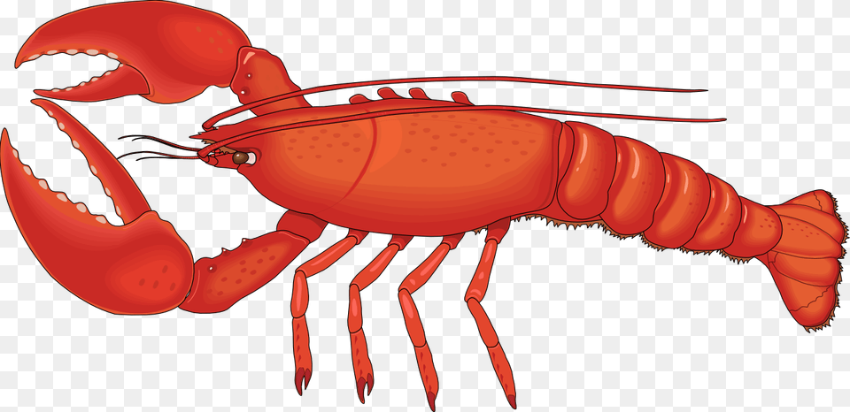 Lobster Clipart Sebastian Lobster, Animal, Food, Invertebrate, Sea Life Free Png