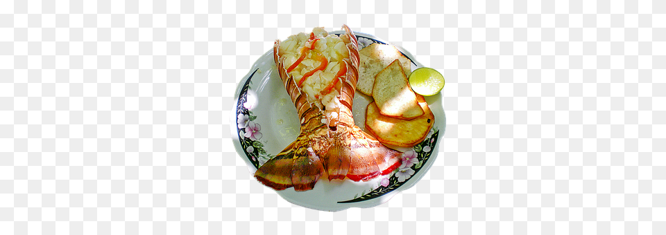 Lobster Dish Animal, Food, Invertebrate, Meal Free Png Download
