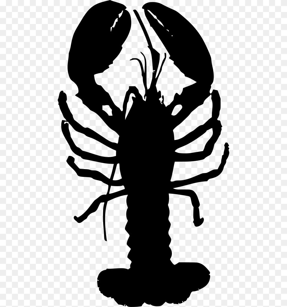 Lobster Drawing Shellfish Clip Art Lobster, Gray Free Png Download