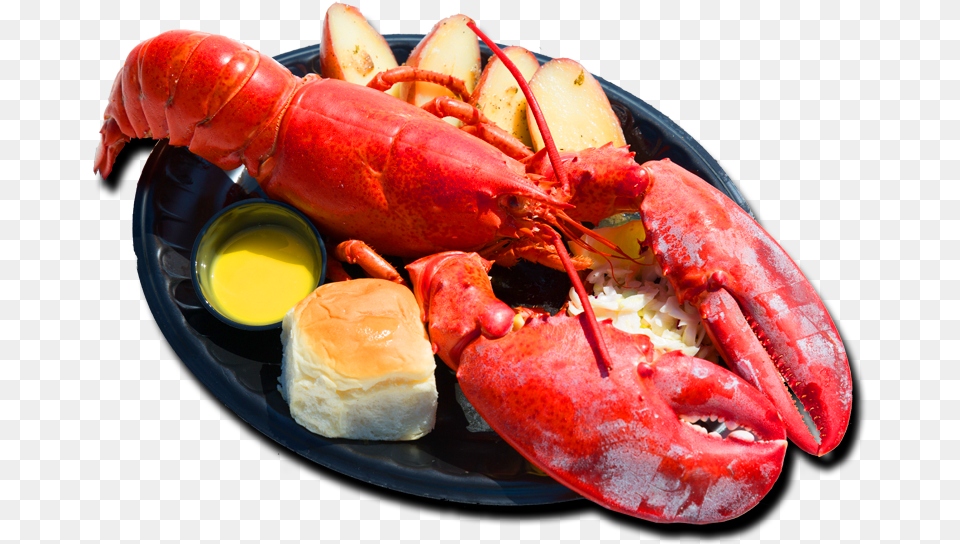 Lobster Food, Animal, Invertebrate, Sea Life, Seafood Png