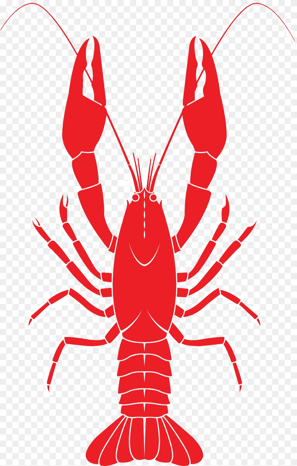 Lobster For Taiapure Vector Crawfish Clip Art, Food, Seafood, Animal, Sea Life Png Image