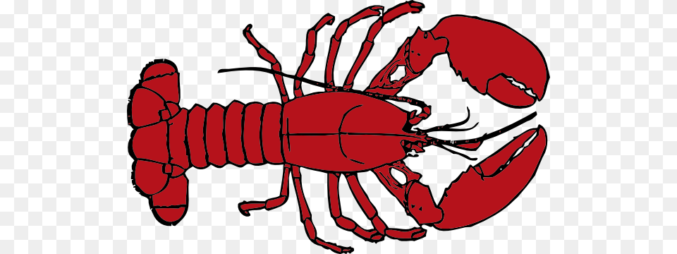 Lobster Outline, Animal, Sea Life, Invertebrate, Seafood Png