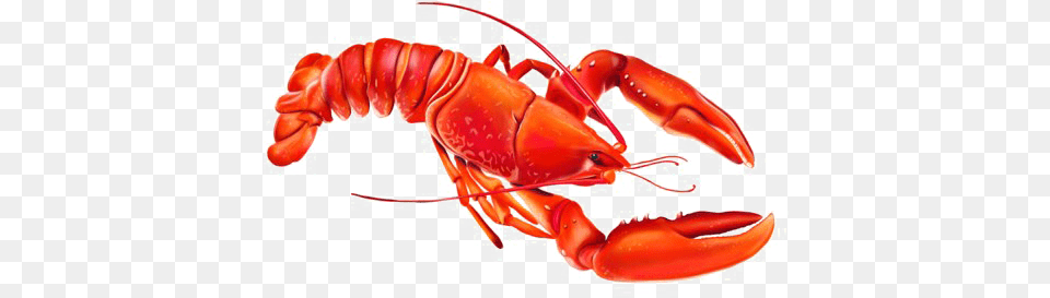 Lobster Photo Transparent Lobster Cartoon, Animal, Food, Invertebrate, Sea Life Png Image