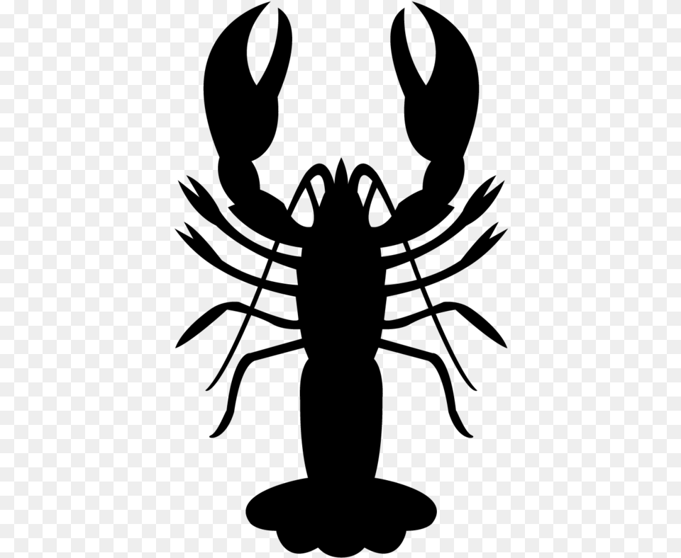 Lobster Shrimp, Gray Png Image