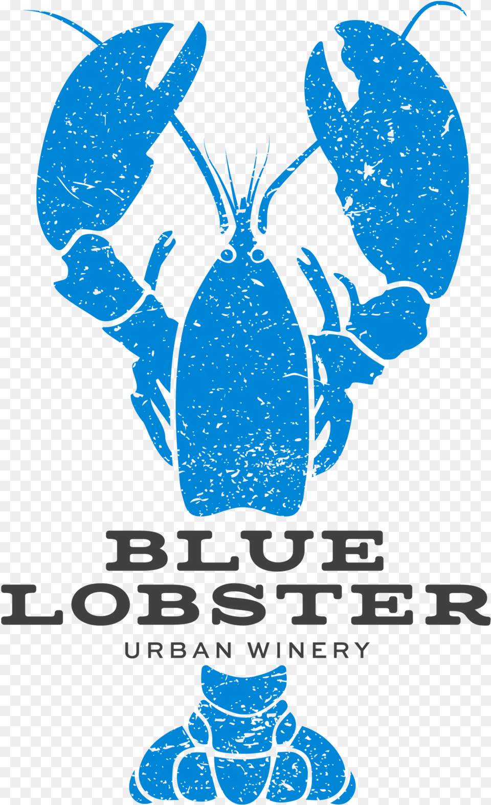 Lobster Tail, Food, Seafood, Animal, Person Png Image
