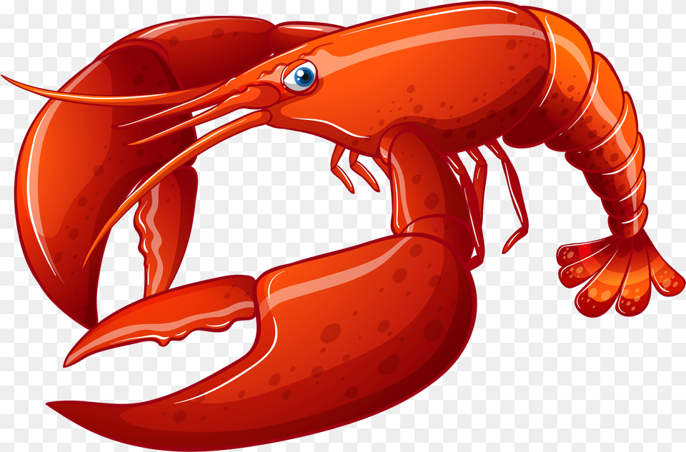 Lobster Vector Different Types Sea Animals, Food, Seafood, Animal, Invertebrate Png