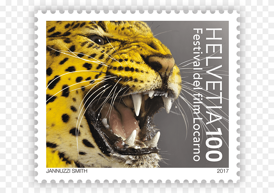 Locarno Film Festival Poster, Animal, Mammal, Postage Stamp, Tiger Free Png Download