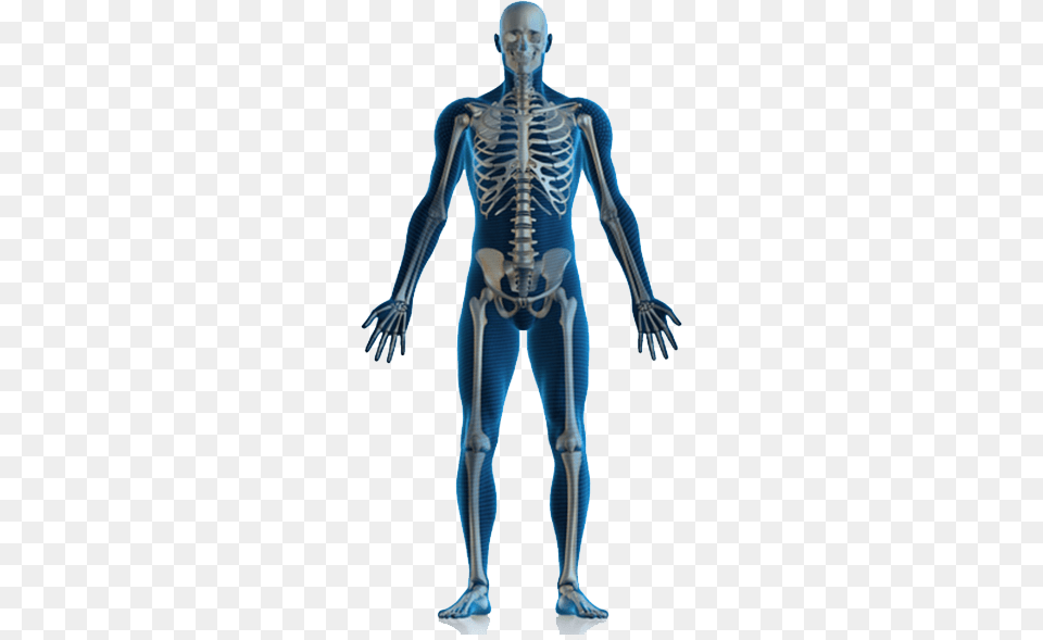 Locate The Pain Physiotherapy All Body Pain, Adult, Female, Person, Woman Free Transparent Png